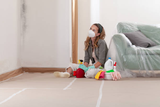 Reliable Black Mold Removal contractor in Red Lion, PA by WQB Mold Removal